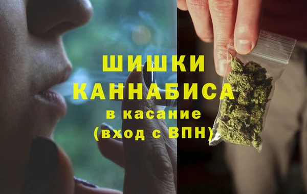 эйфоретик Баксан