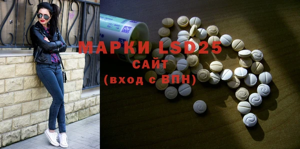 ГАЛЛЮЦИНОГЕННЫЕ ГРИБЫ Балабаново