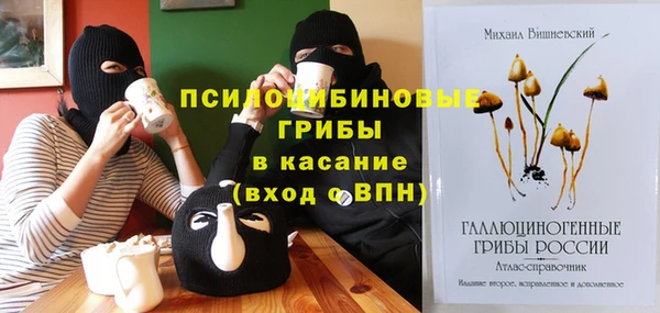 эйфоретик Баксан