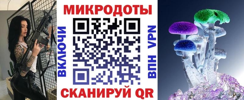 Псилоцибиновые грибы прущие грибы  Лесной 